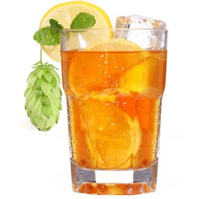 Citrus blaze 400 мл.