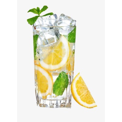 Lemon mint cooler 400 мл.